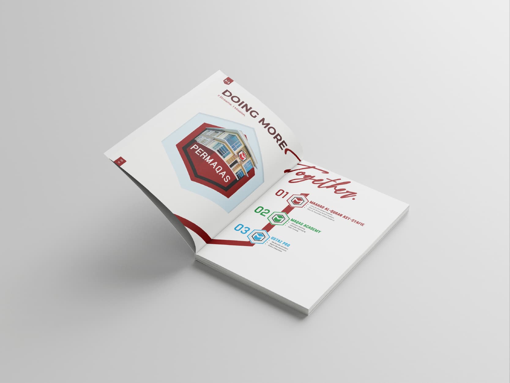 MAQAS company profile: opening pages