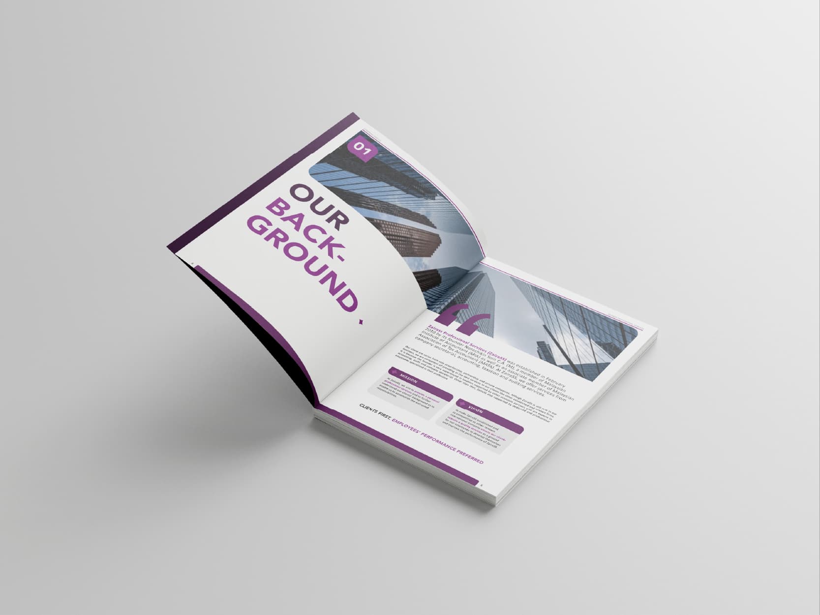 ZPS company profile: opening pages